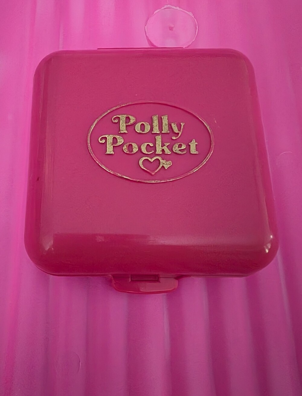 Blue Bird Vintage Pink Polly Pocket Home